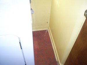 My kitchen slaughterhouse