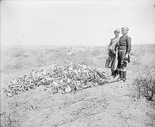 Bones left at Anzac Cove