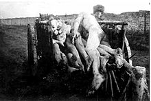 220px-Victims_of_Soviet_Famine_1922